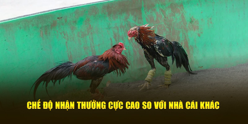 Chế độ nhận thưởng cực cao so với nhà cái khác