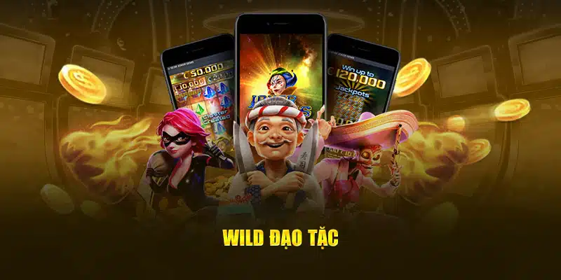 Wild đạo tặc